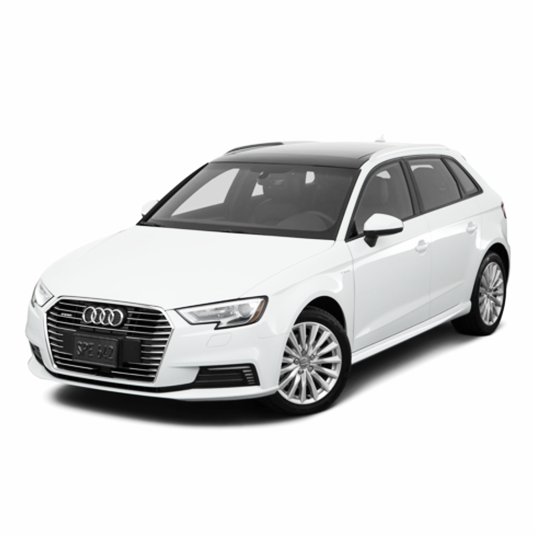 Audi A3 E-tron (2016 – 2018) – Nieuw of Gereviseerd Accupakket